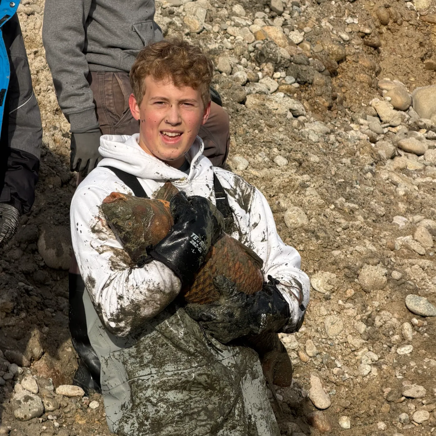 The most recent Common carp catches on Fishbrain