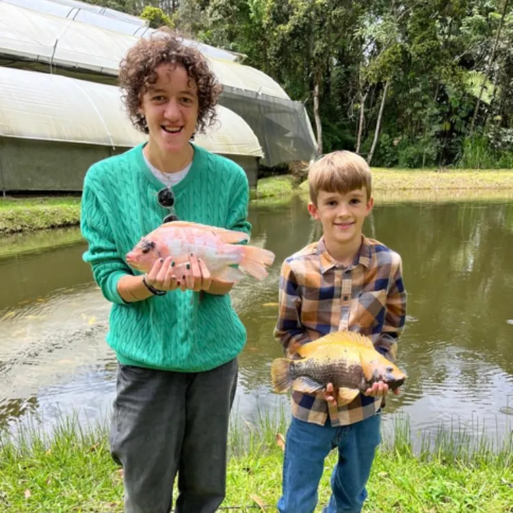 The most recent Red tilapia catches on Fishbrain