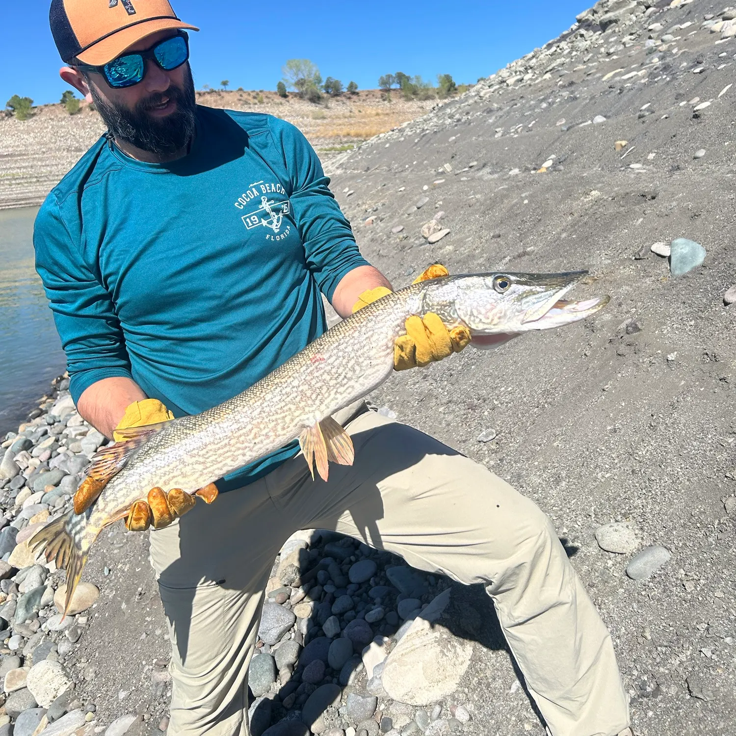 Northern pike caught on Fishbrain