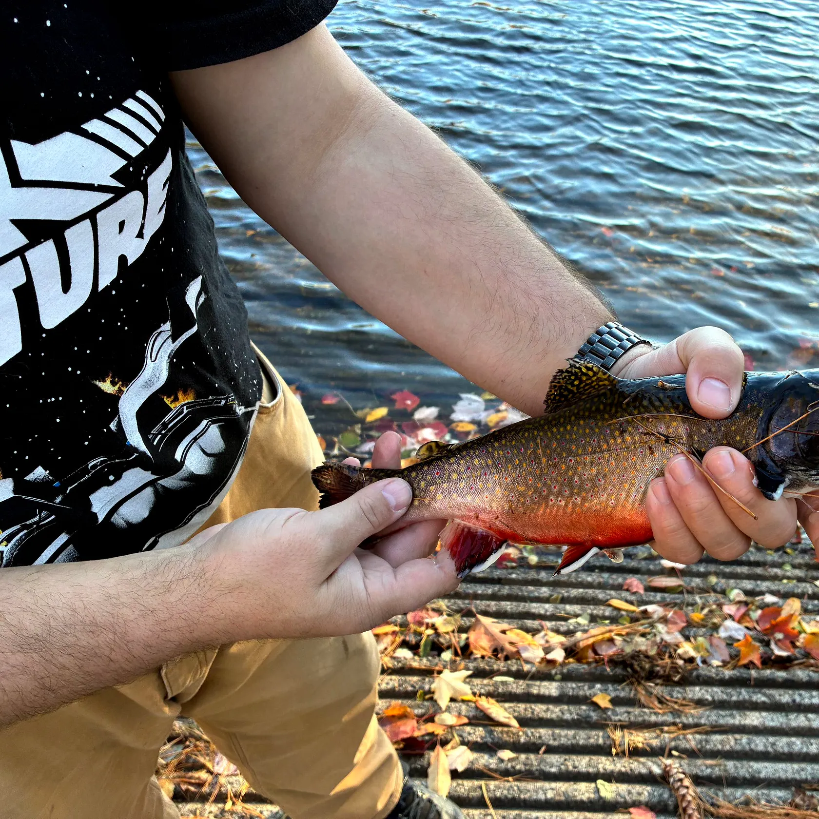 Brook trout caught on Fishbrain