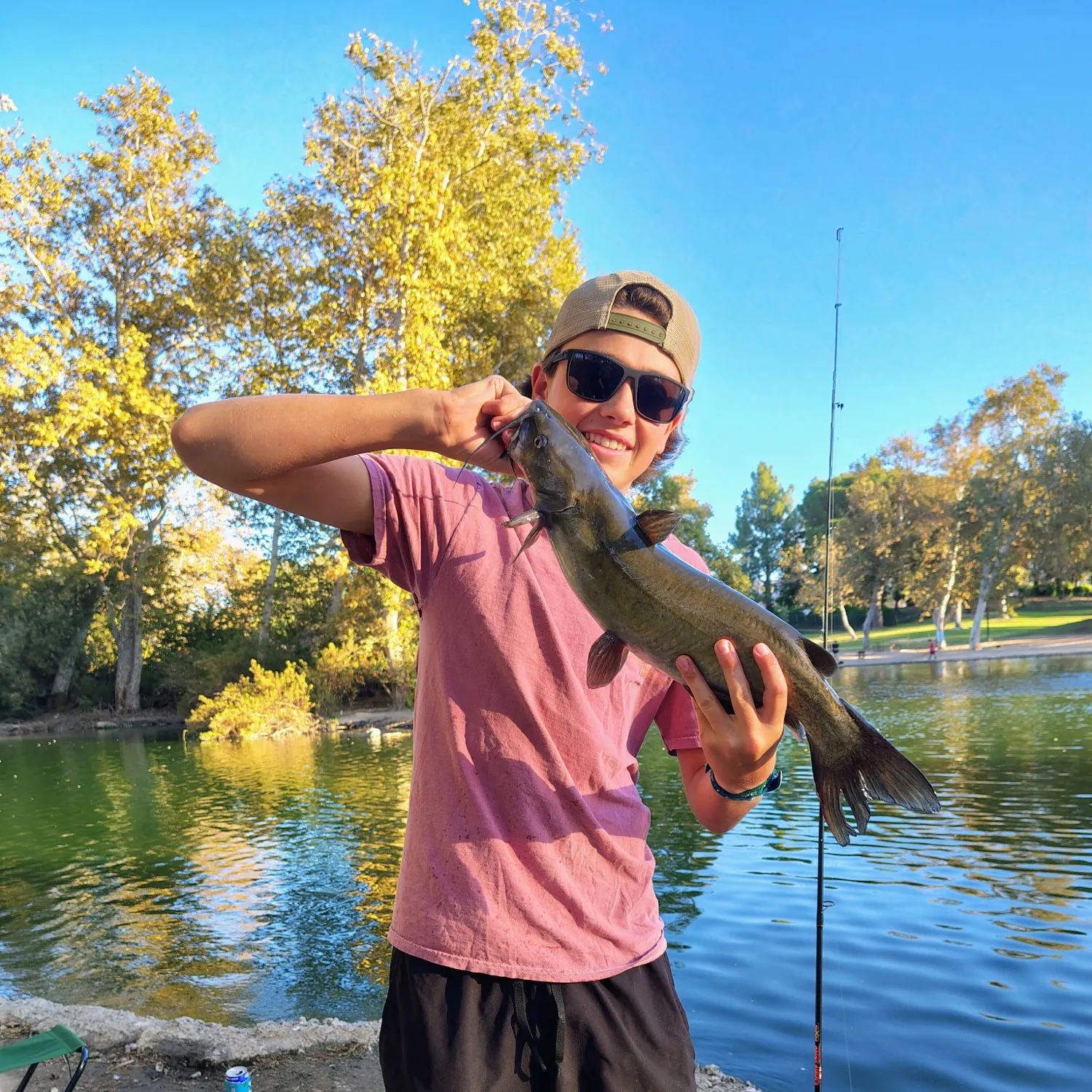 Channel catfish caught on Fishbrain