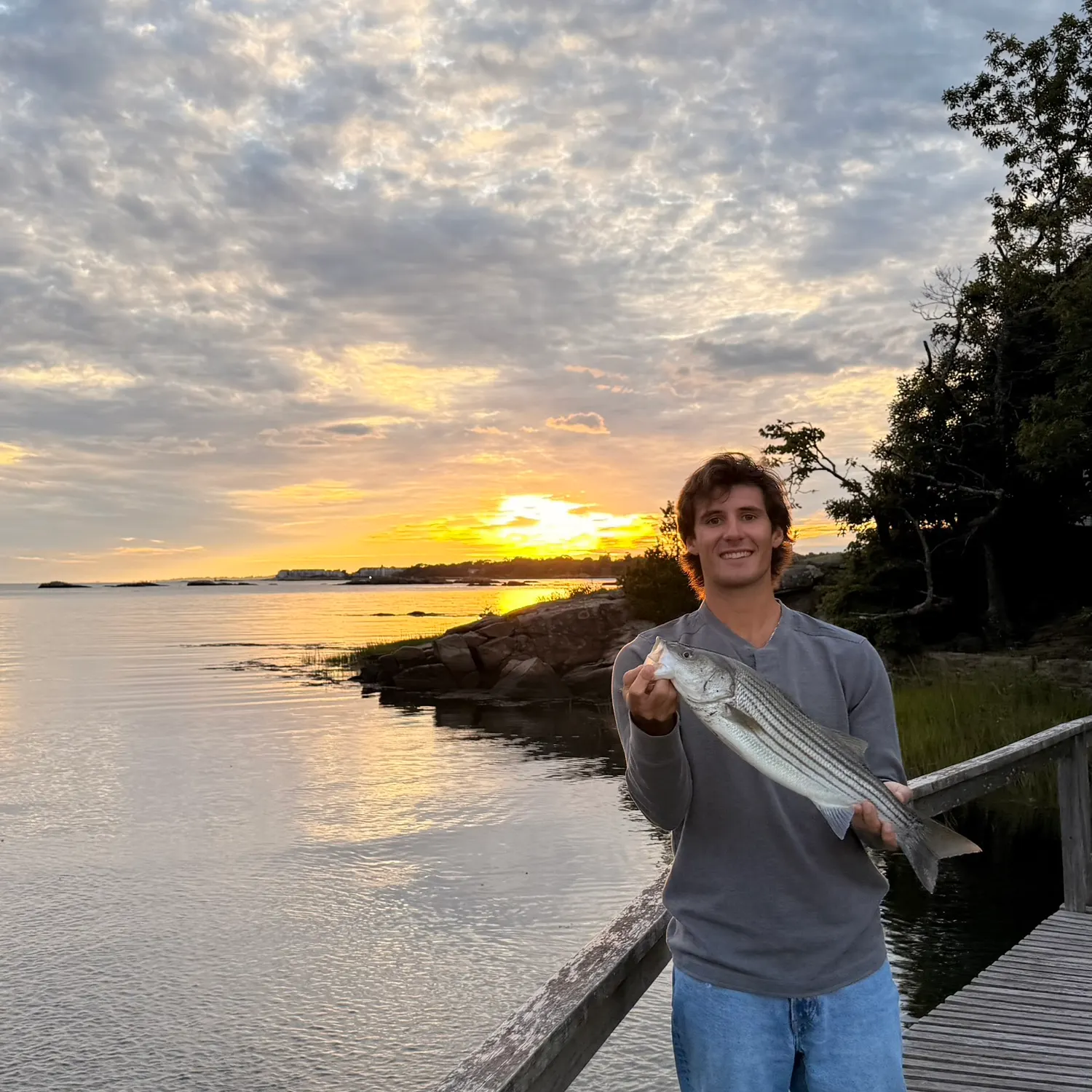 Striped bass caught on Fishbrain