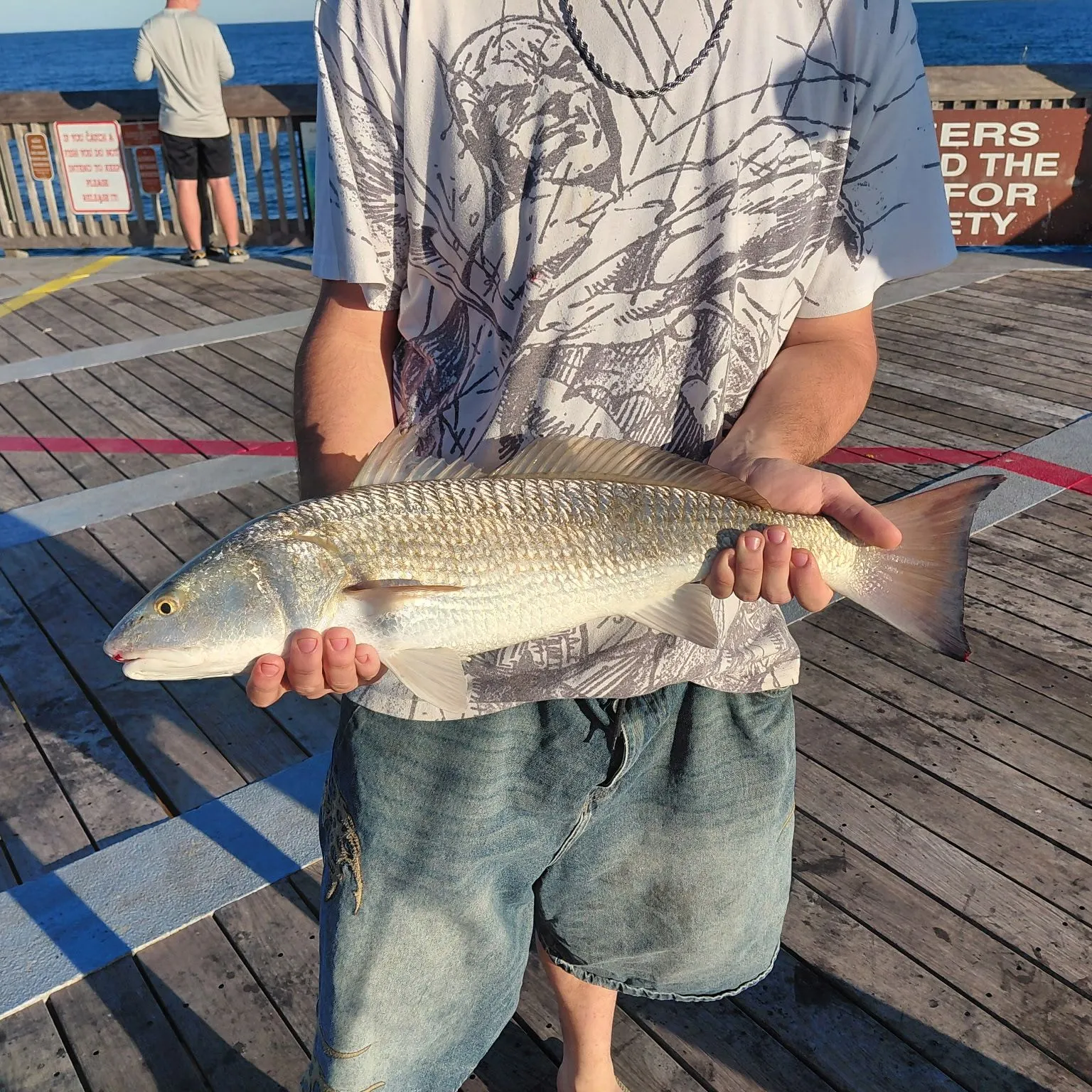 Red drum caught on Fishbrain