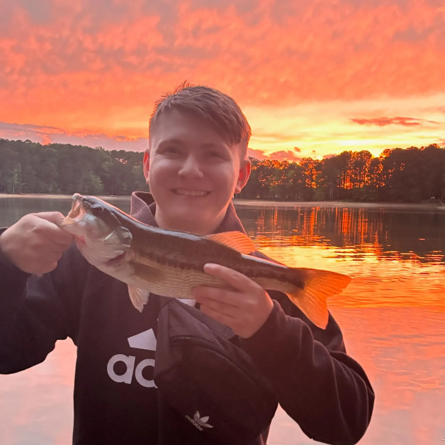 The most recent Spotted bass catches on Fishbrain