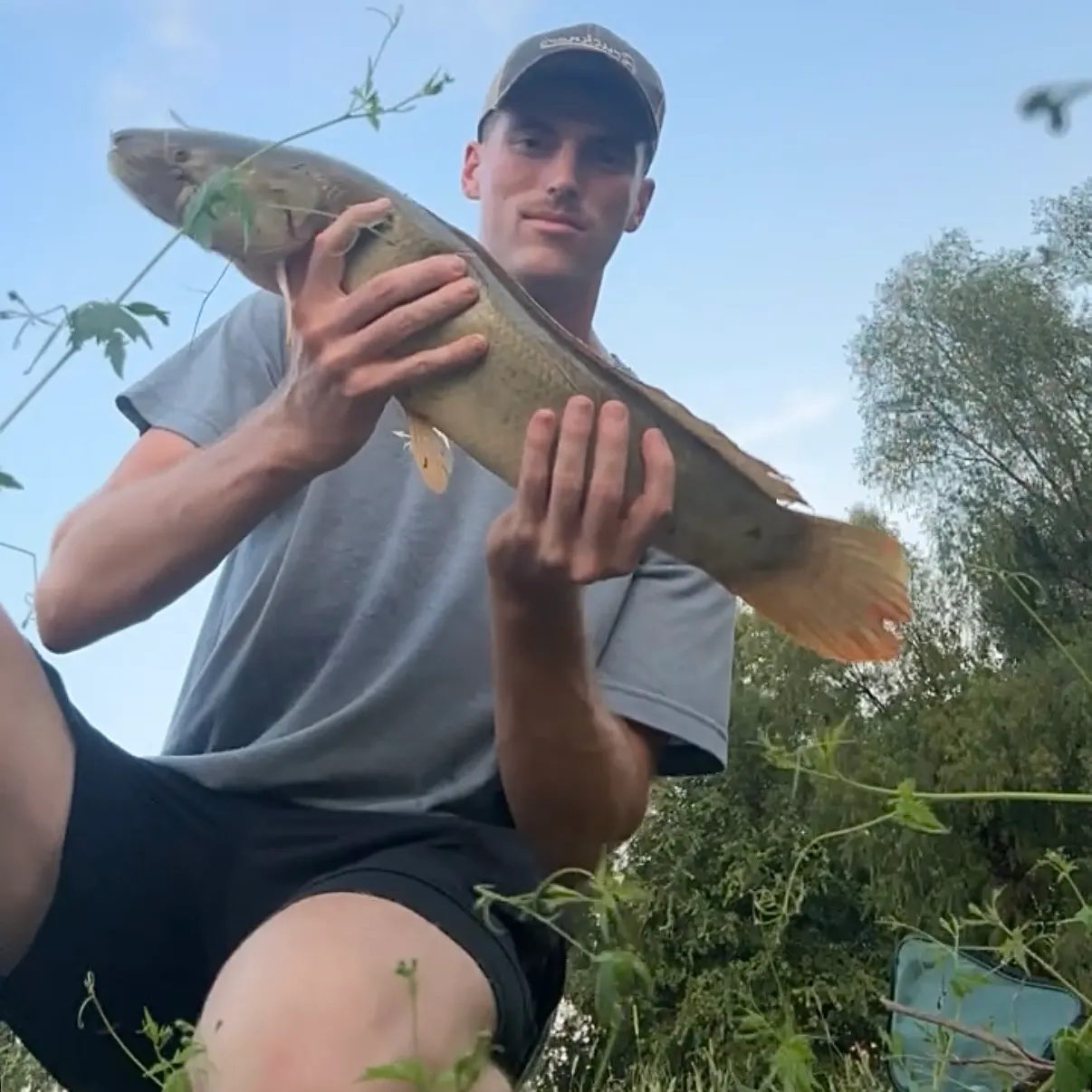 Eyetail bowfin caught on Fishbrain