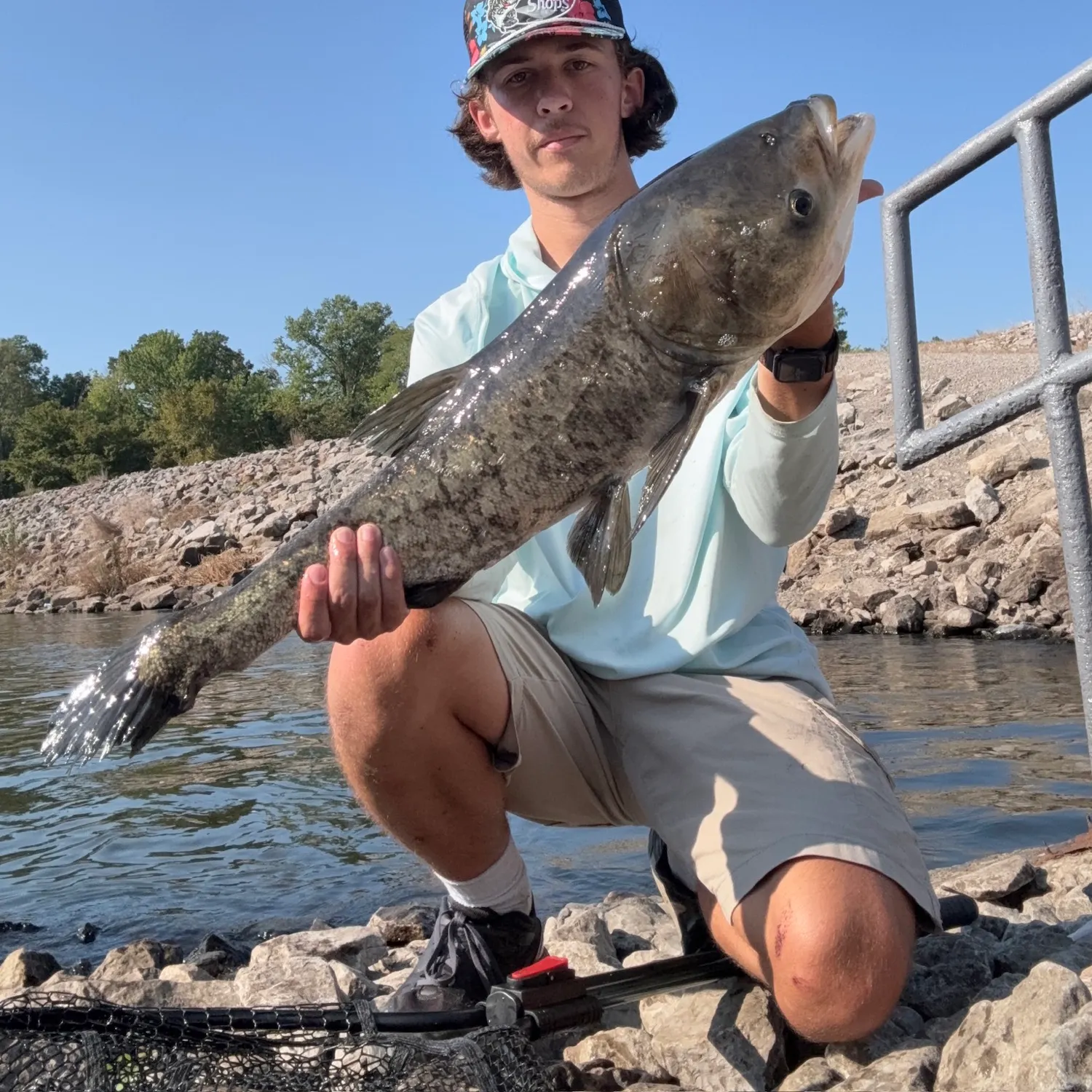 Bighead carp caught on Fishbrain