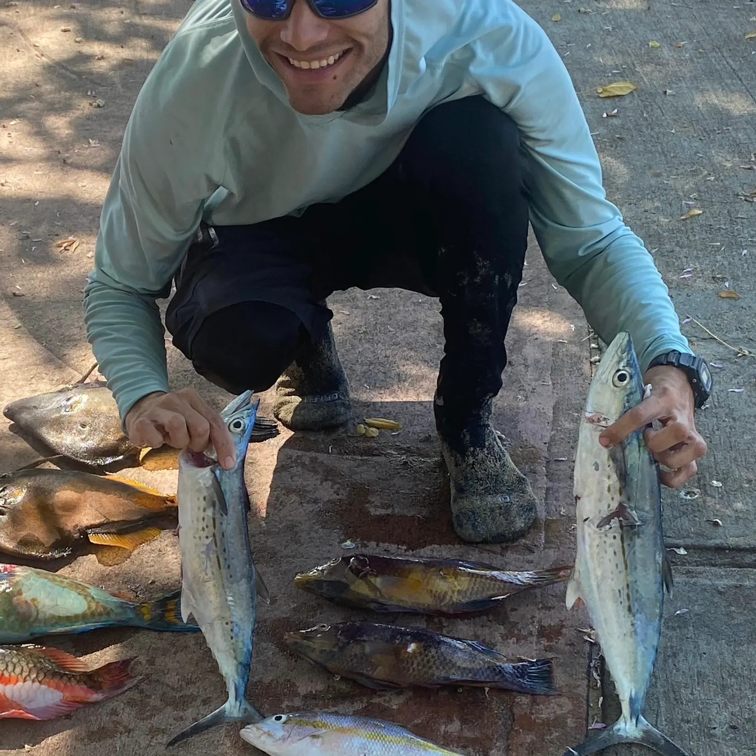 The most recent Cero mackerel catches on Fishbrain