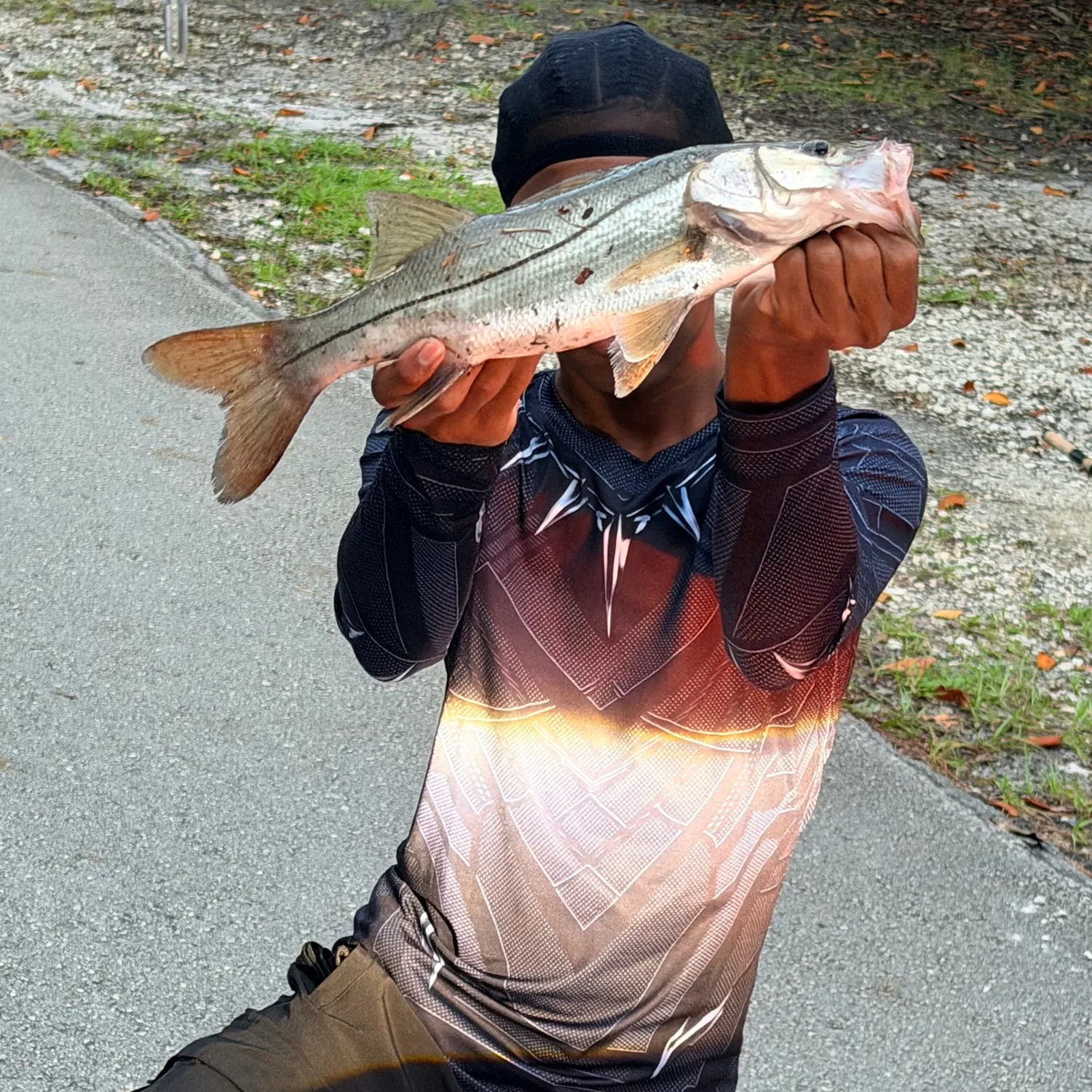 Common snook caught on Fishbrain