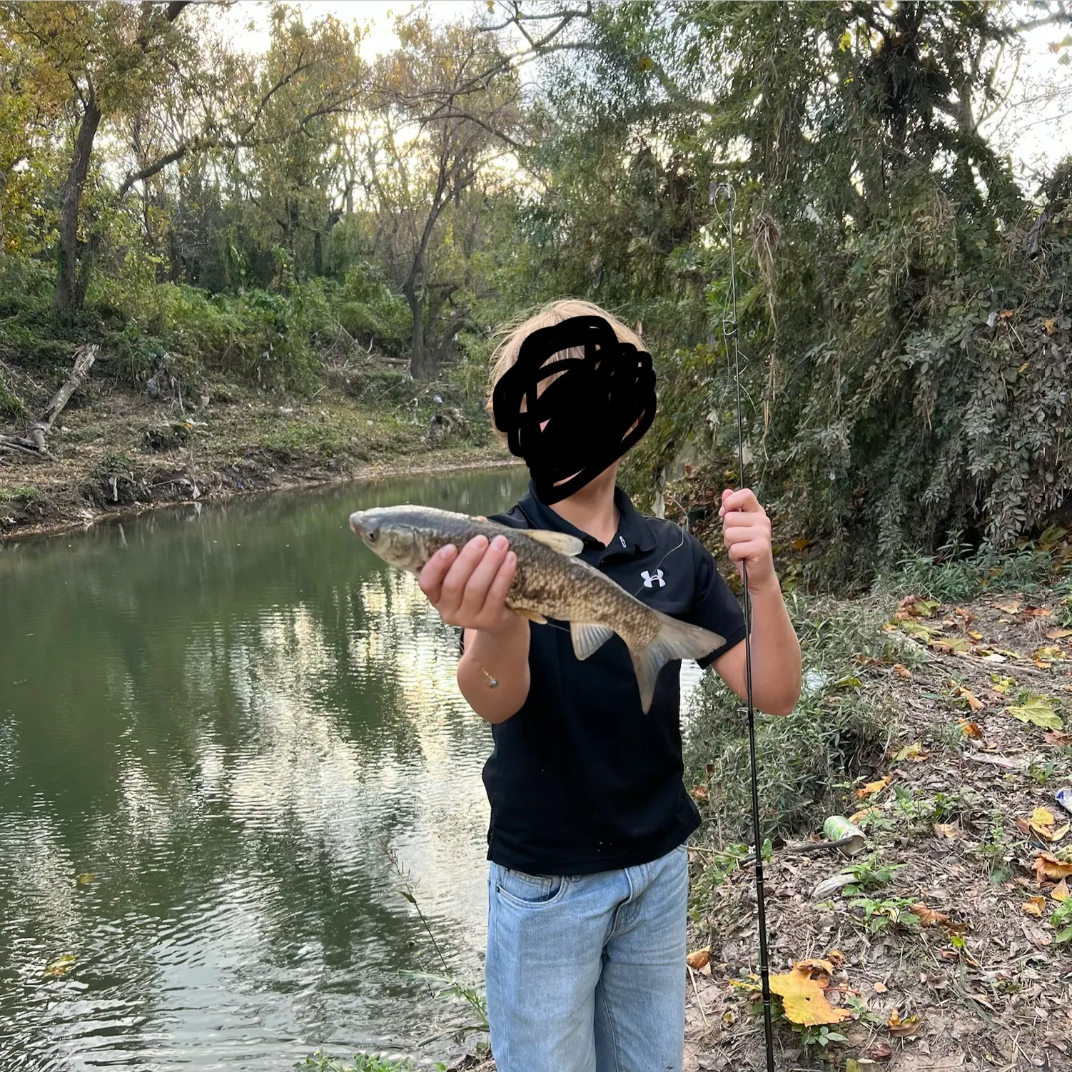 The most recent Grass carp catches on Fishbrain