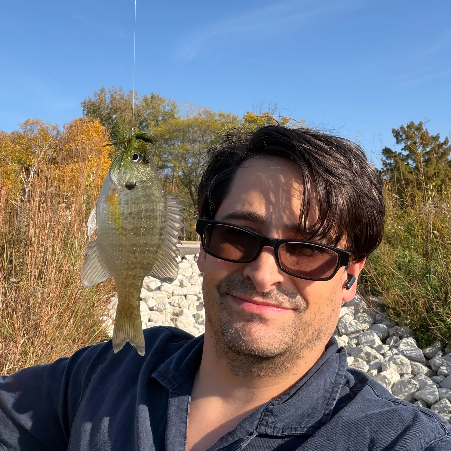Bluegill caught on Fishbrain