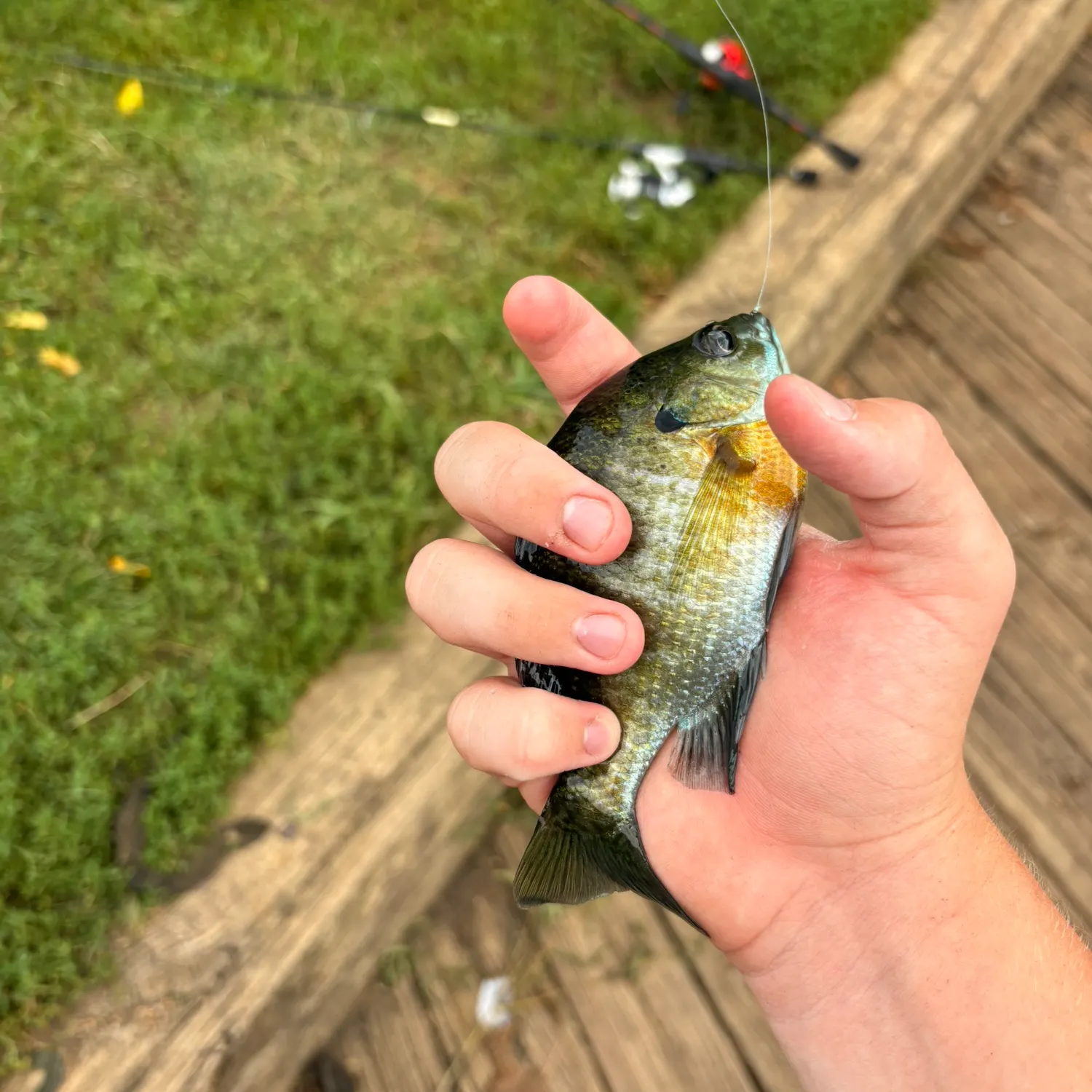 catch
