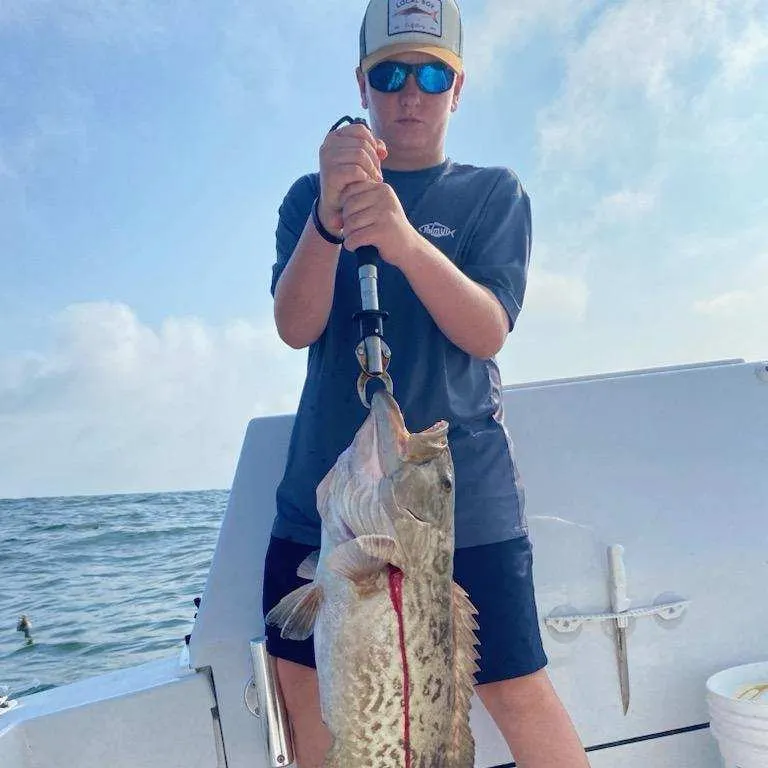 The most recent Gag grouper catches on Fishbrain