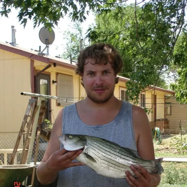 The most recent Hybrid striped bass catches on Fishbrain