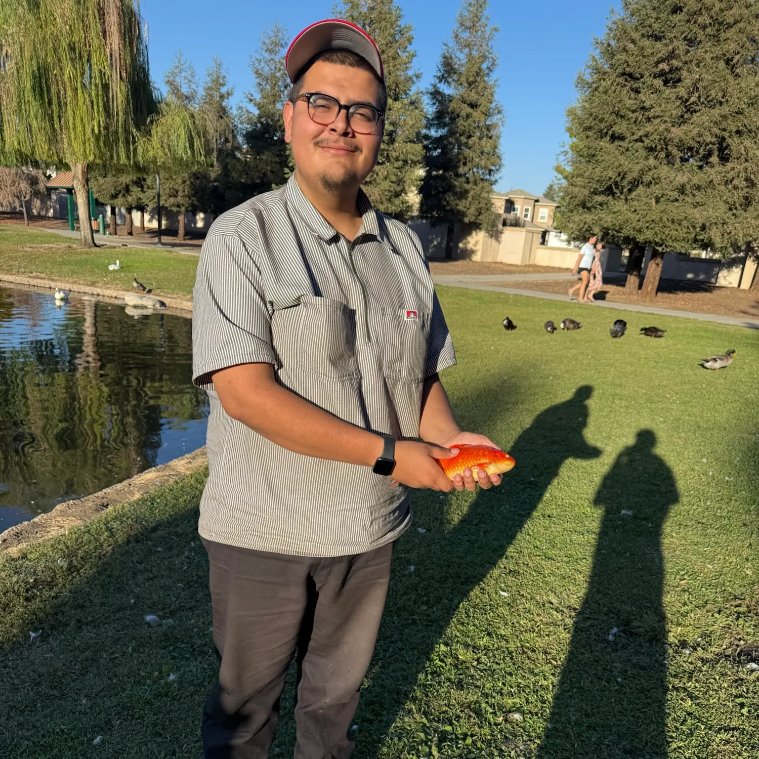 Goldfish caught on Fishbrain