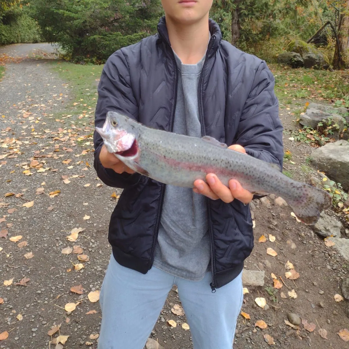 Rainbow trout caught on Fishbrain