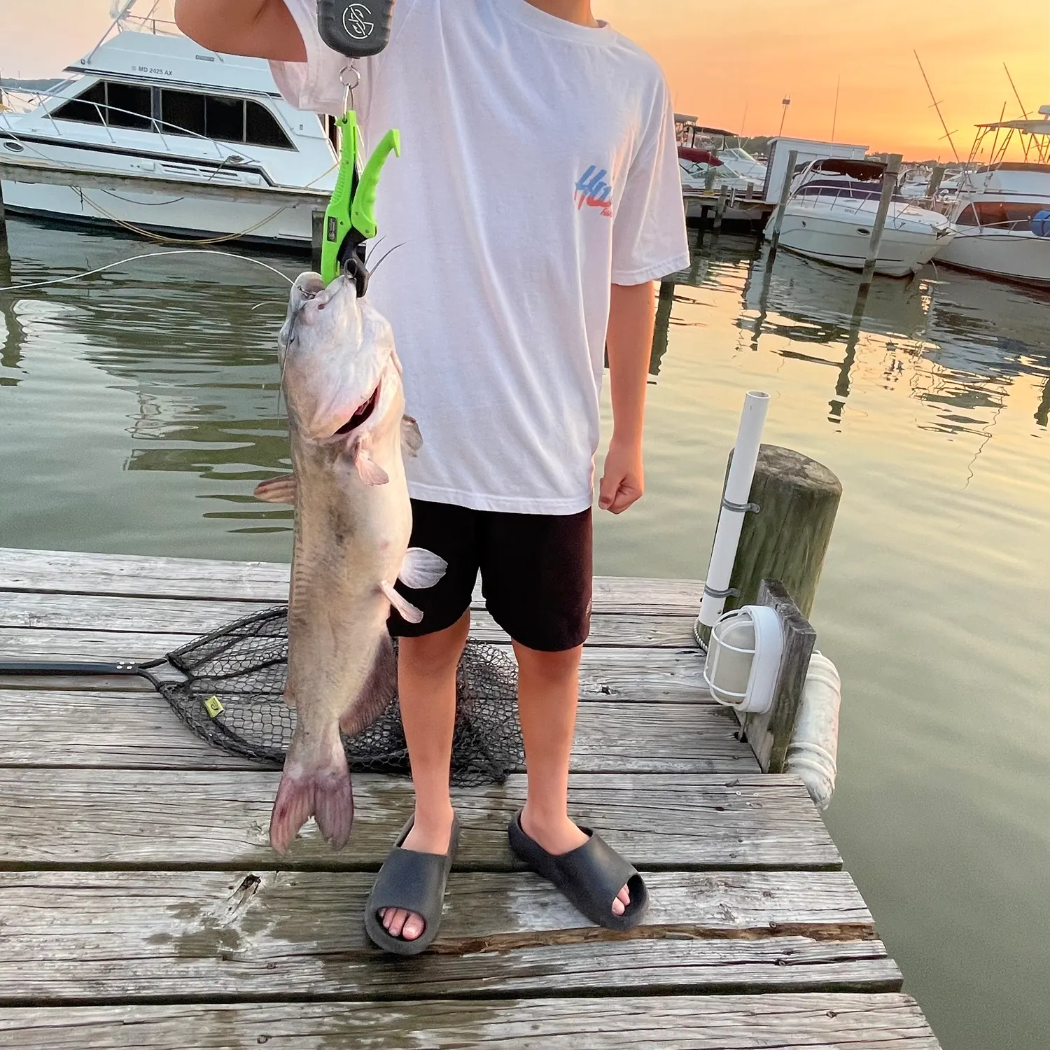 recently logged catches