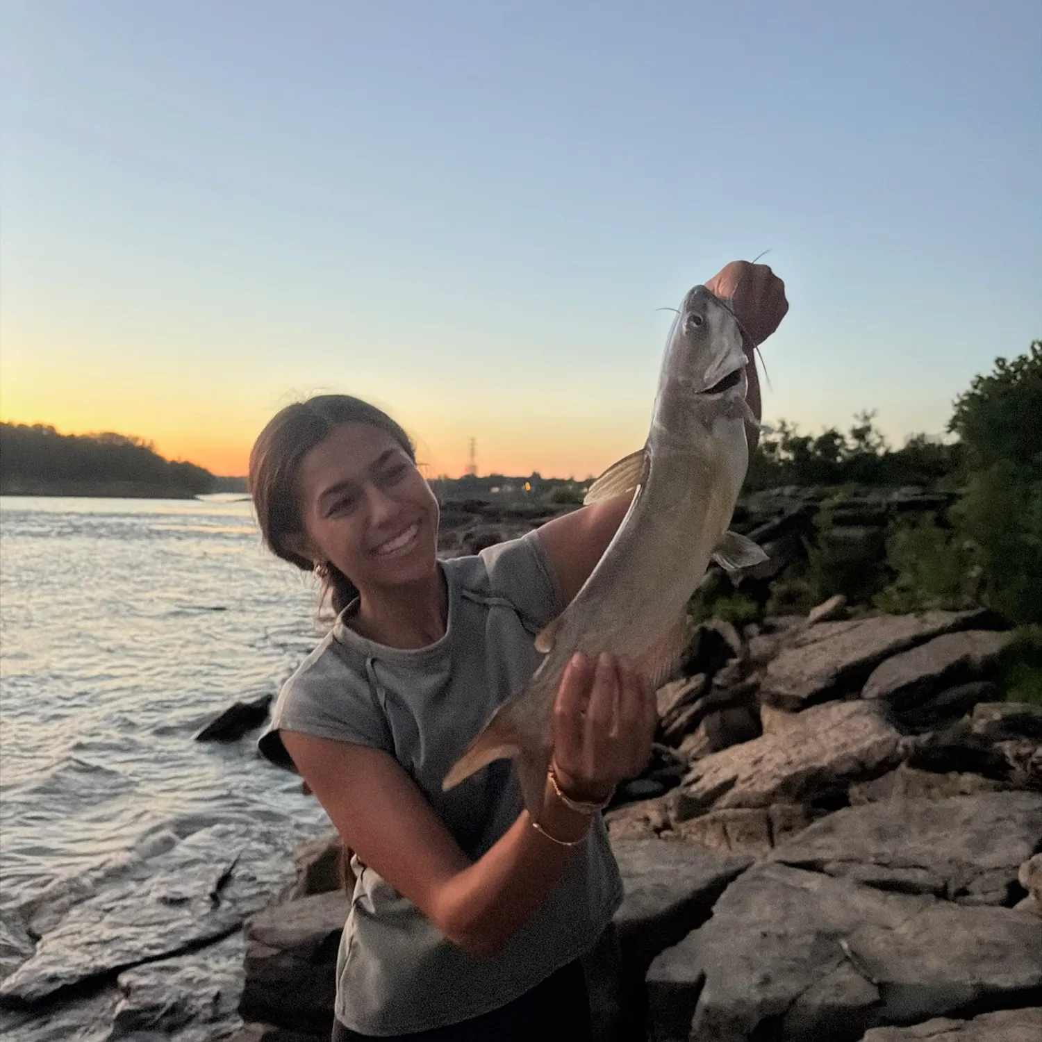 Channel catfish caught on Fishbrain