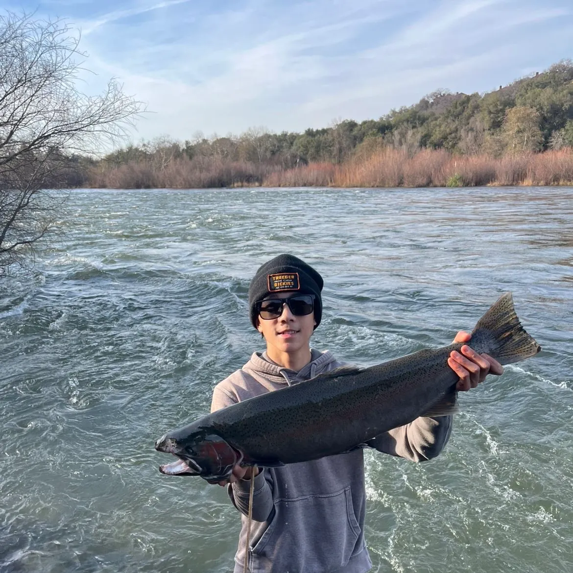 The most recent Steelhead catches on Fishbrain
