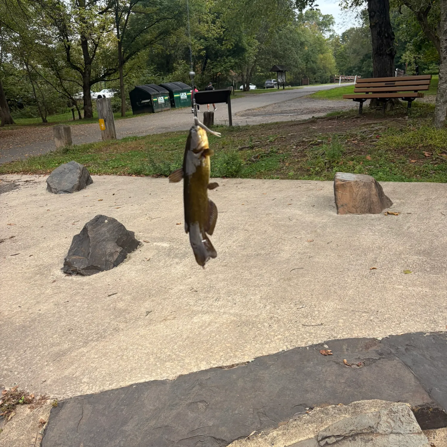 catch