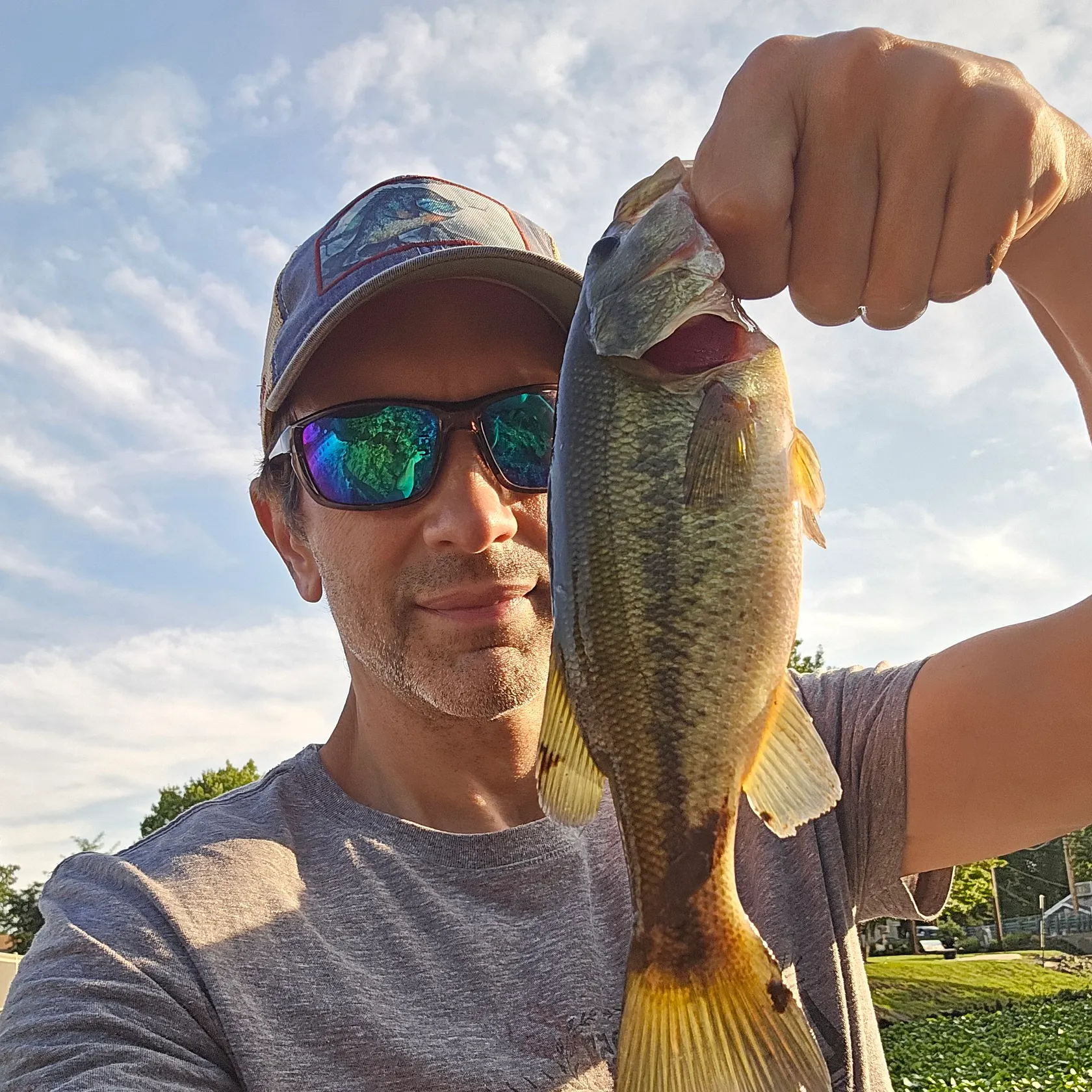 Largemouth bass caught on Fishbrain
