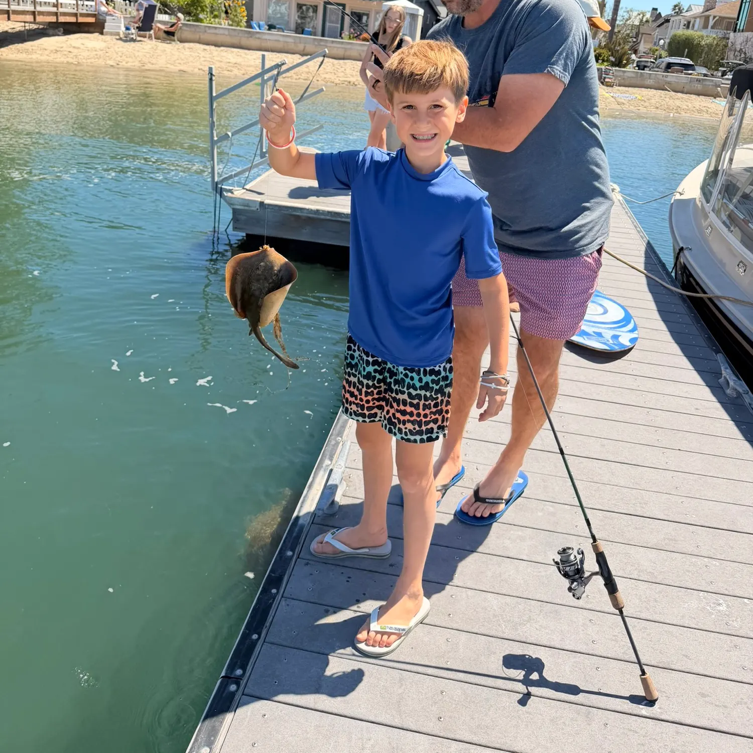 The most recent Pelagic stingray catches on Fishbrain