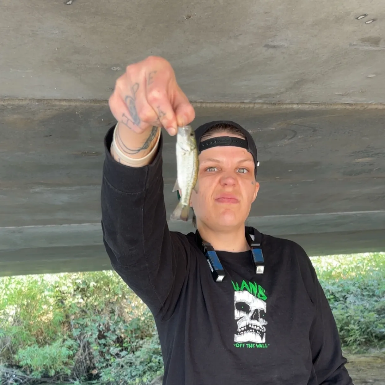 Fish caught on Fishbrain