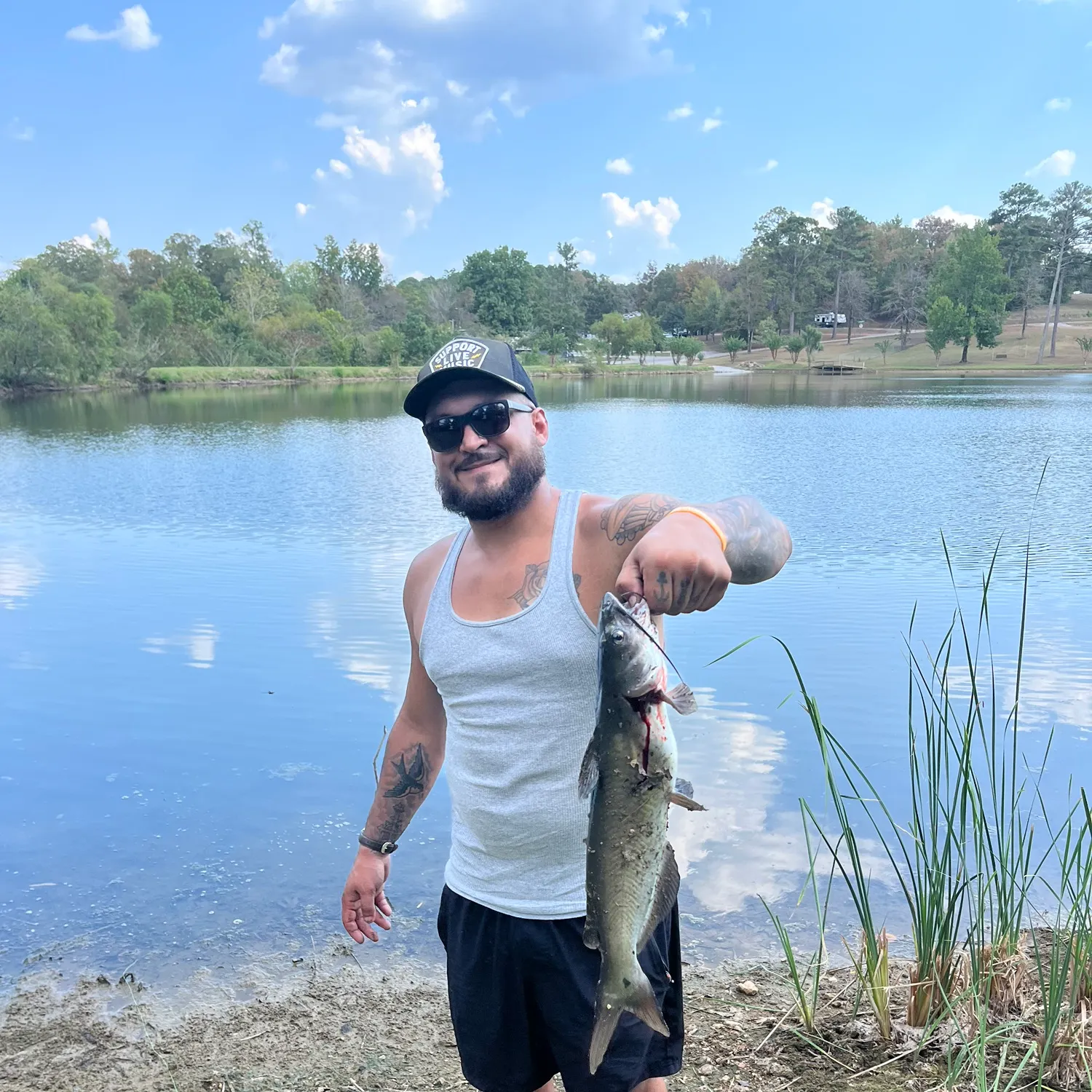 Channel catfish caught on Fishbrain