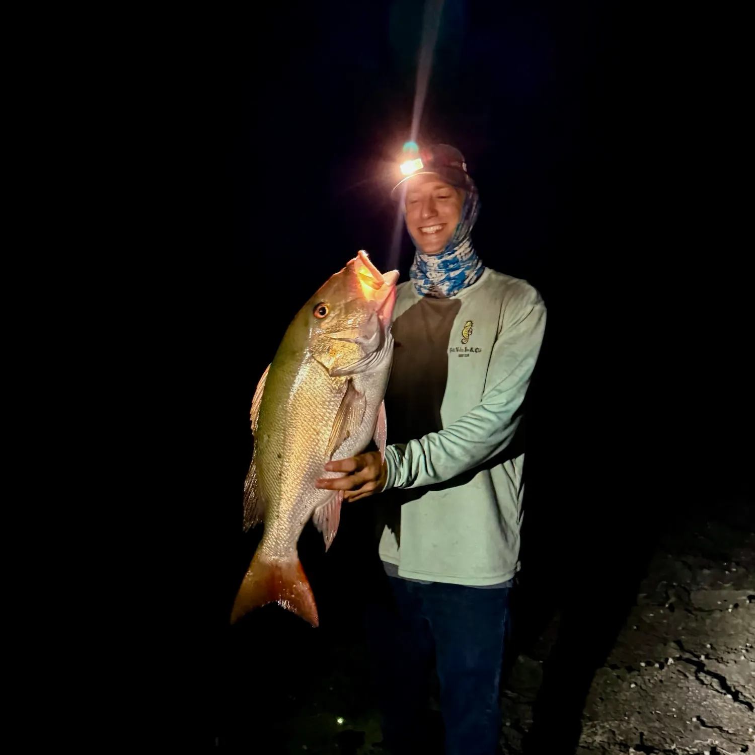 The most recent Mutton snapper catches on Fishbrain