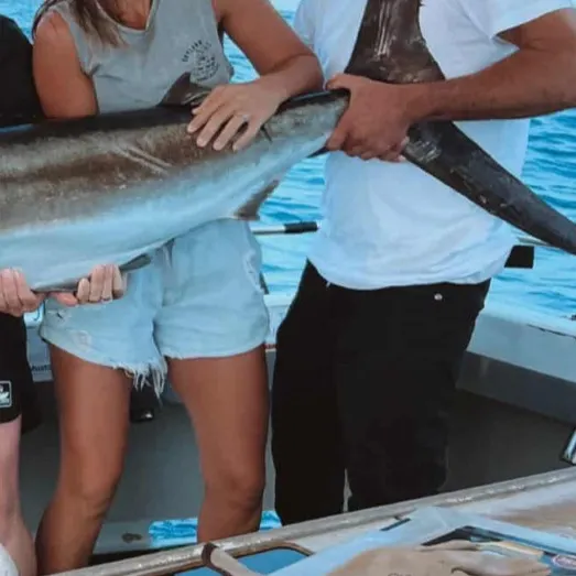 The most recent Striped marlin catches on Fishbrain