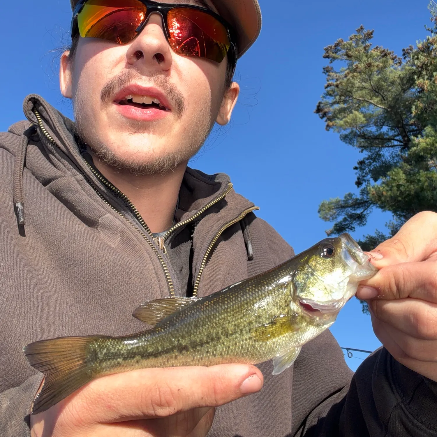 Largemouth bass caught on Fishbrain