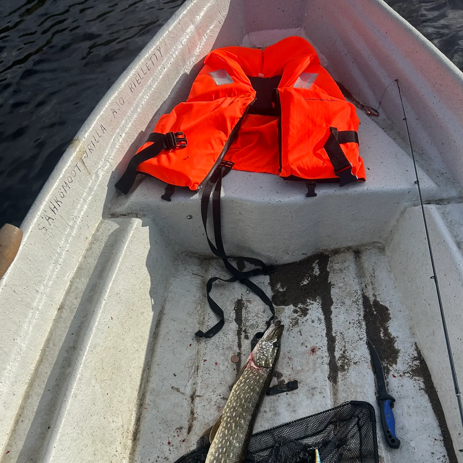 Northern pike caught on Fishbrain