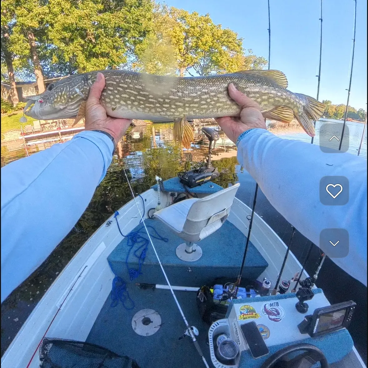 Northern pike caught on Fishbrain