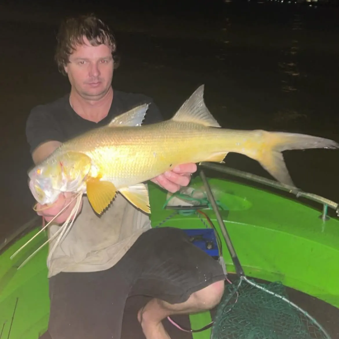 The most recent King threadfin catches on Fishbrain
