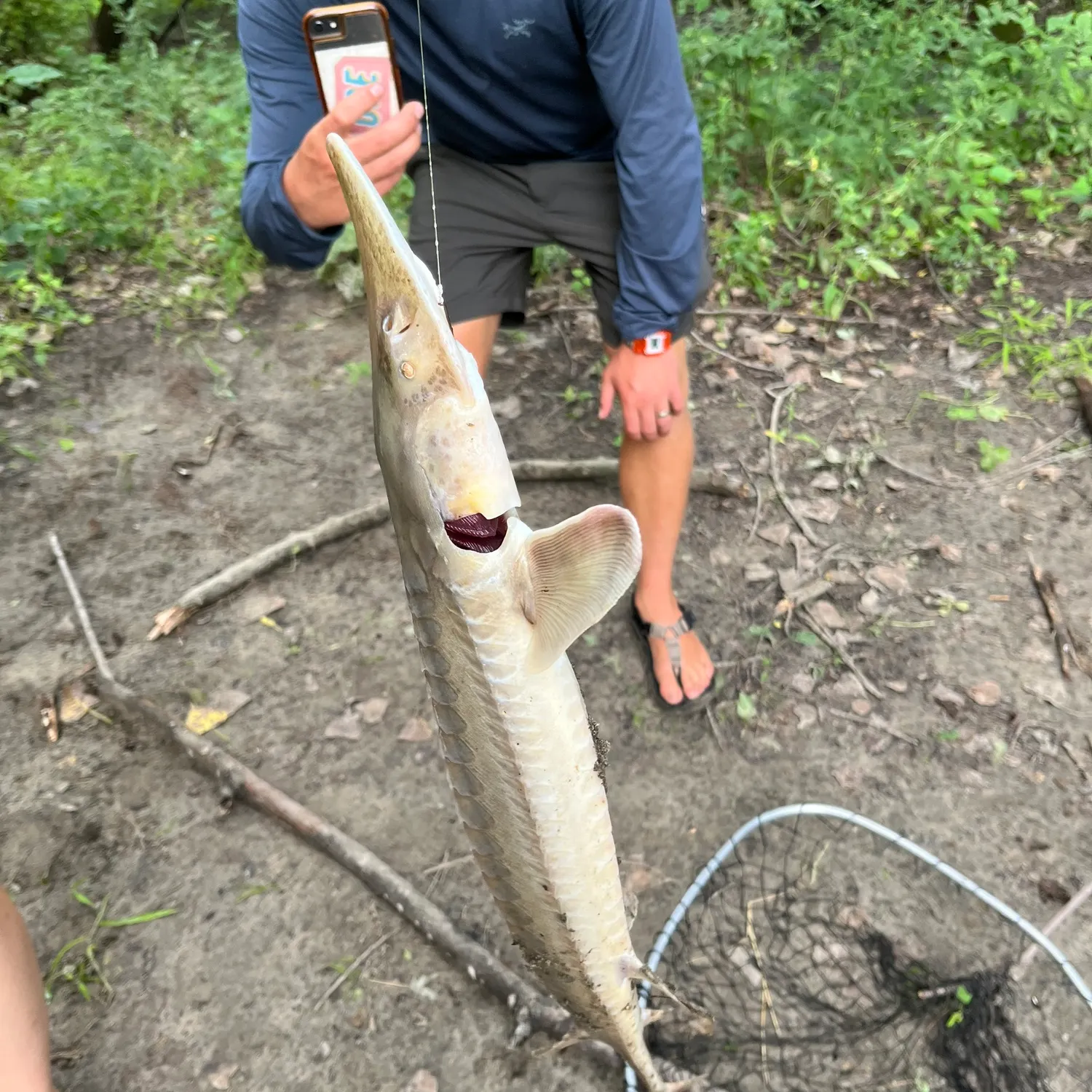 catch