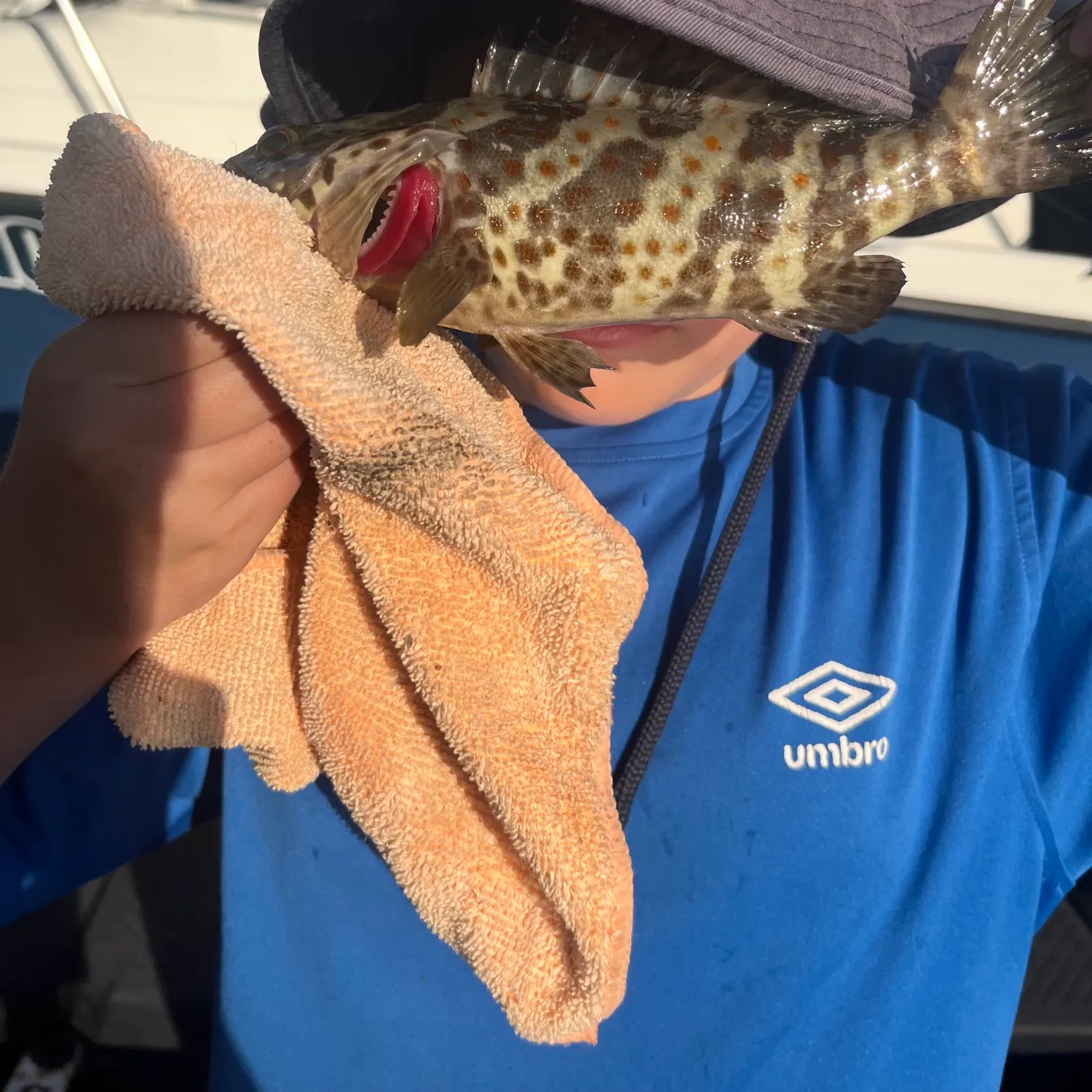 The most recent Orange-spotted grouper catches on Fishbrain