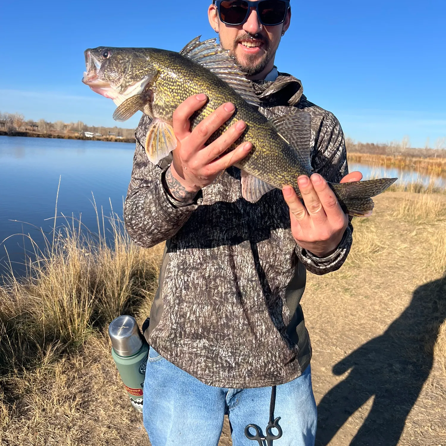 The most recent Sauger catches on Fishbrain