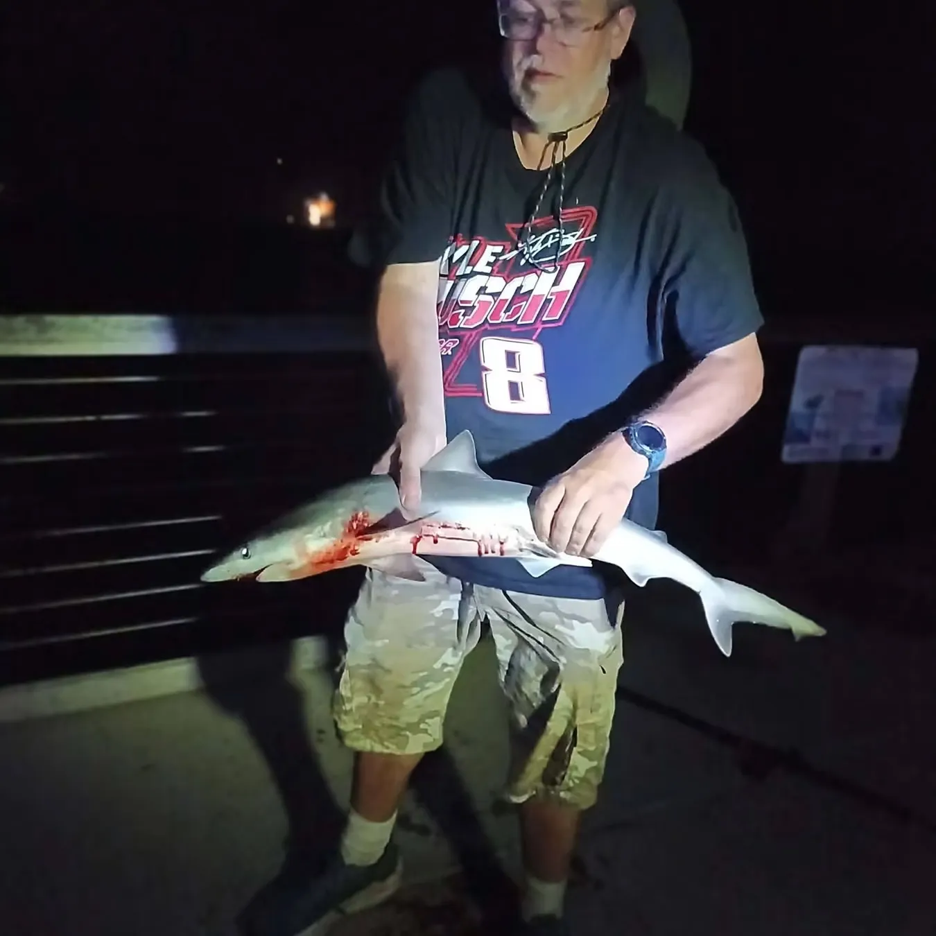 Atlantic sharpnose shark caught on Fishbrain