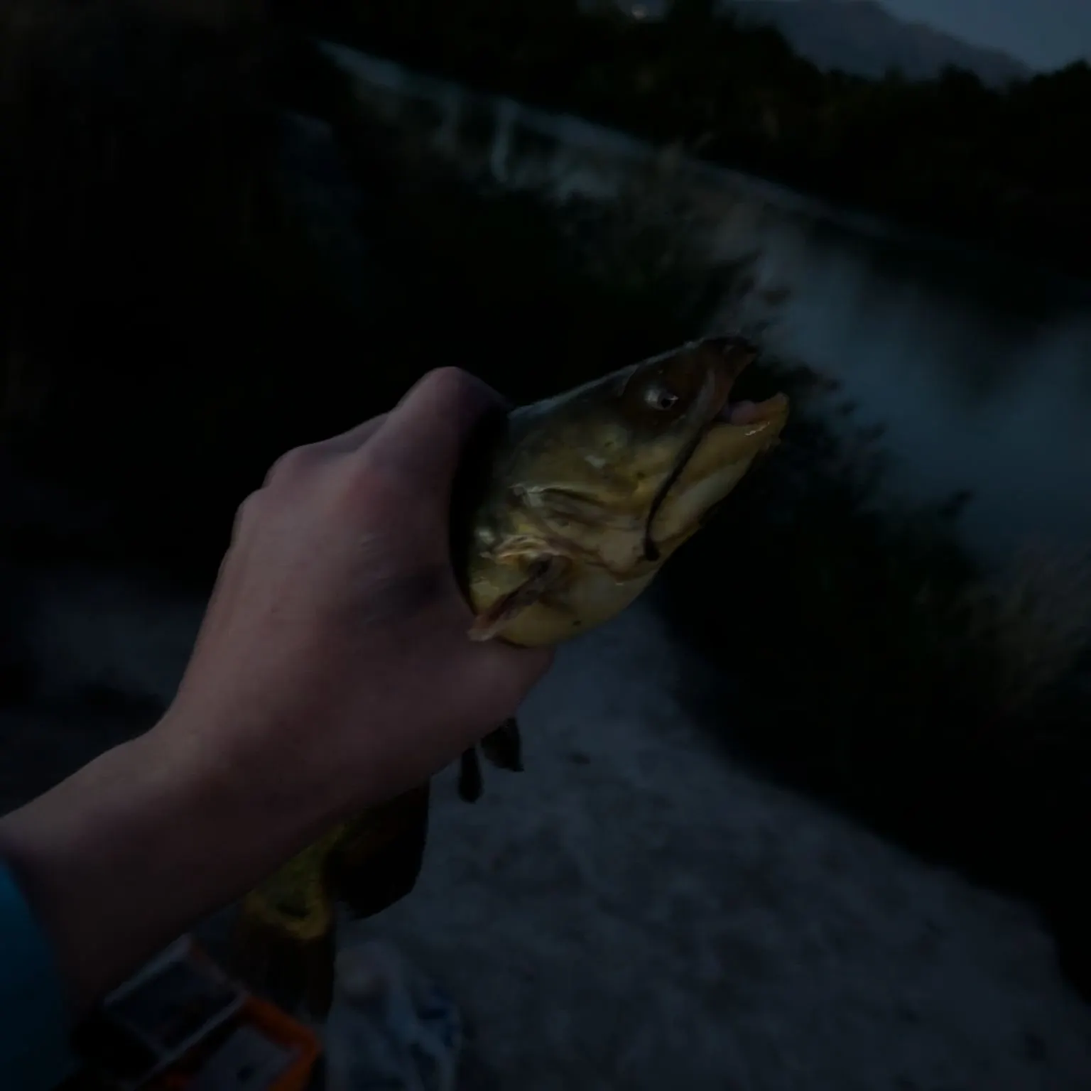 catch