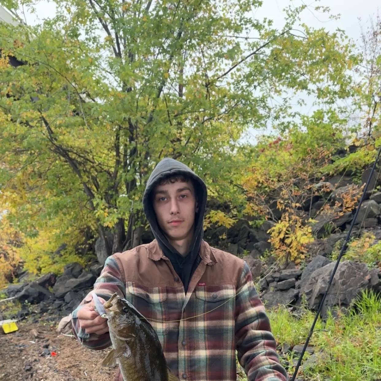 Smallmouth bass caught on Fishbrain