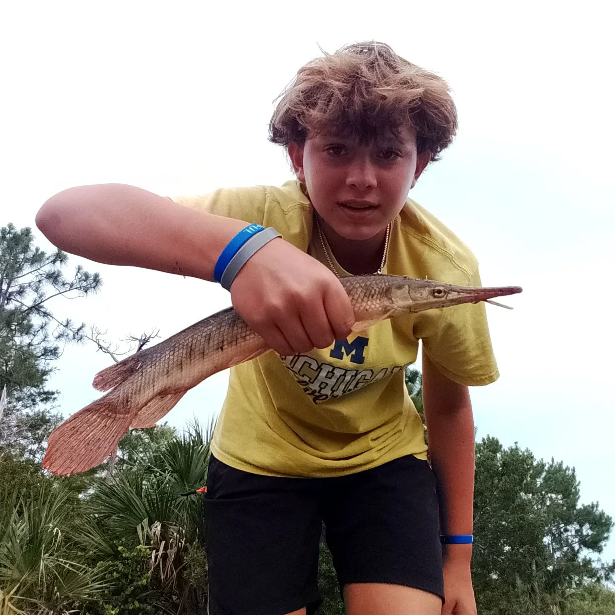The most recent Florida gar catches on Fishbrain