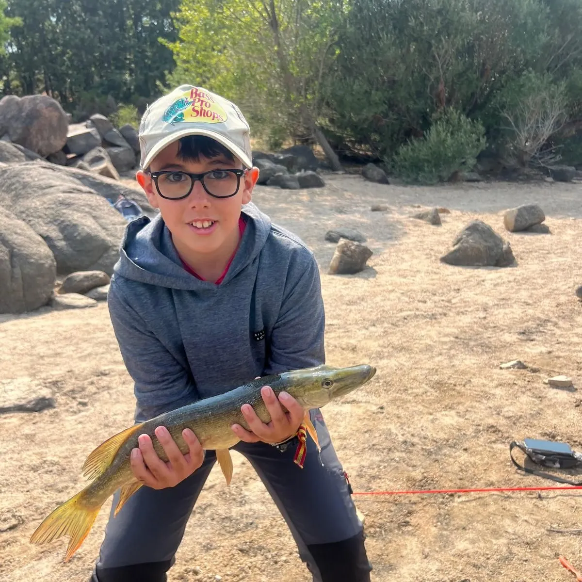Northern pike caught on Fishbrain