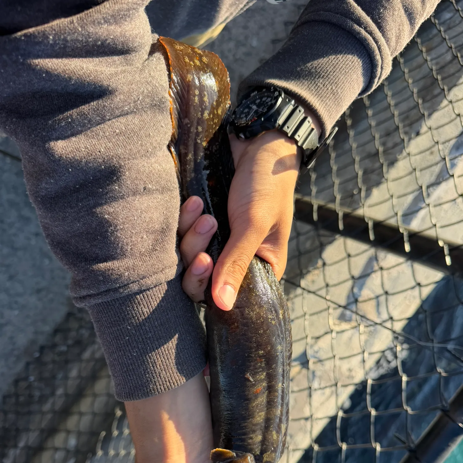 catch