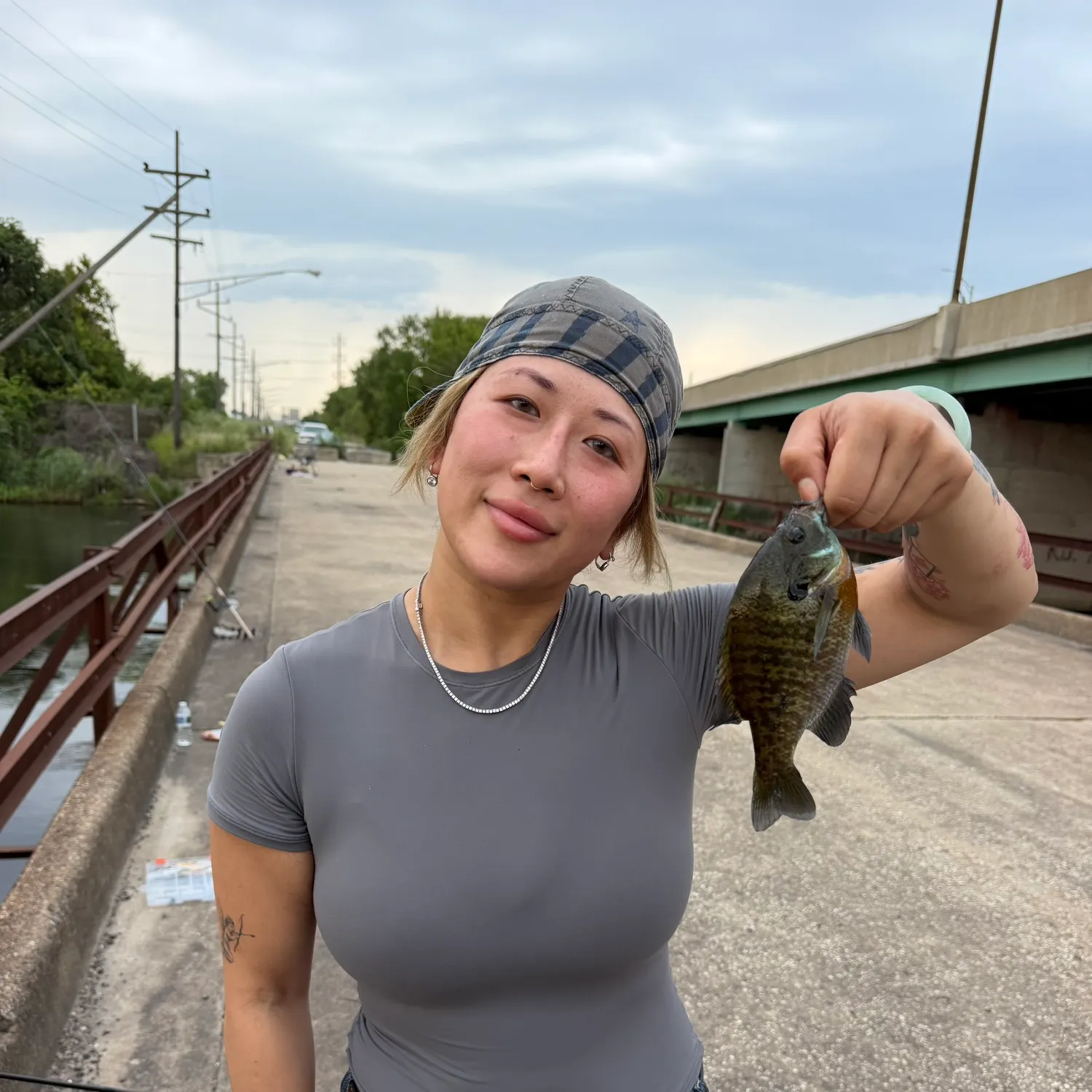 Bluegill caught on Fishbrain