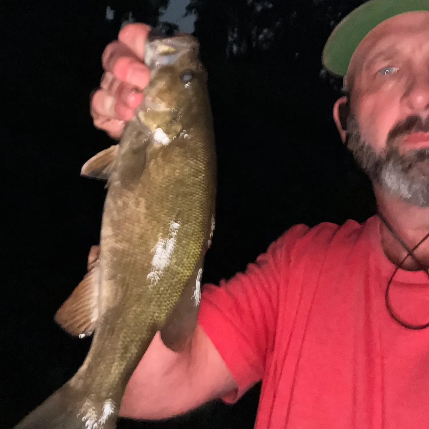 Smallmouth bass caught on Fishbrain