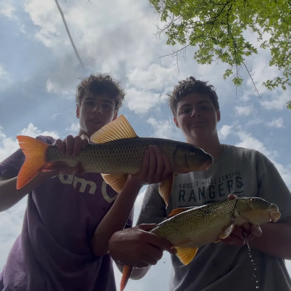 The most recent Shorthead redhorse catches on Fishbrain