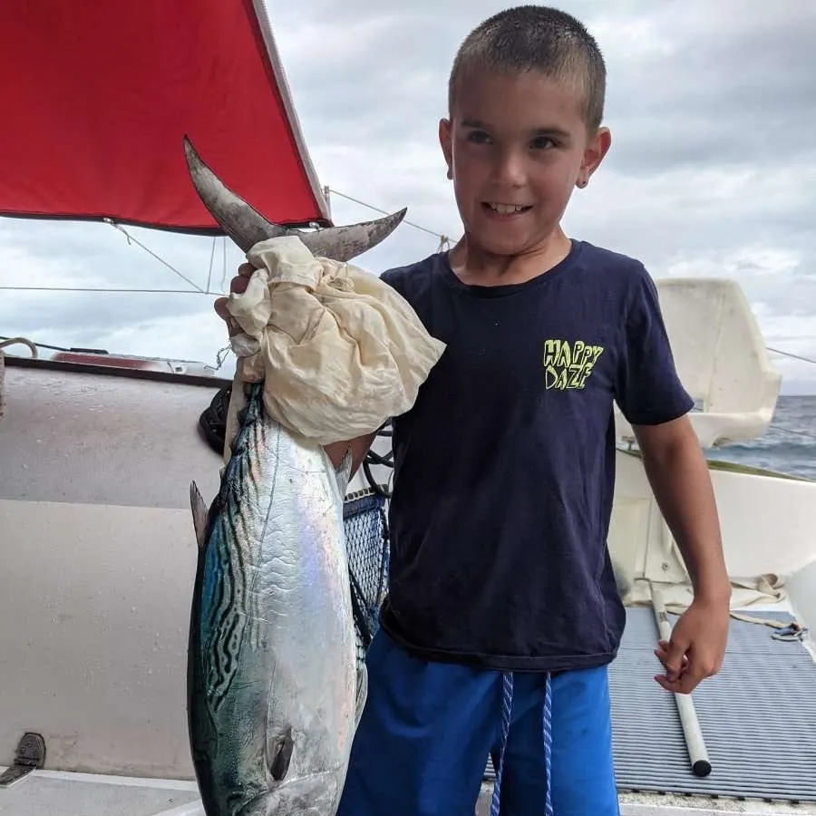 The most recent Kawakawa catches on Fishbrain