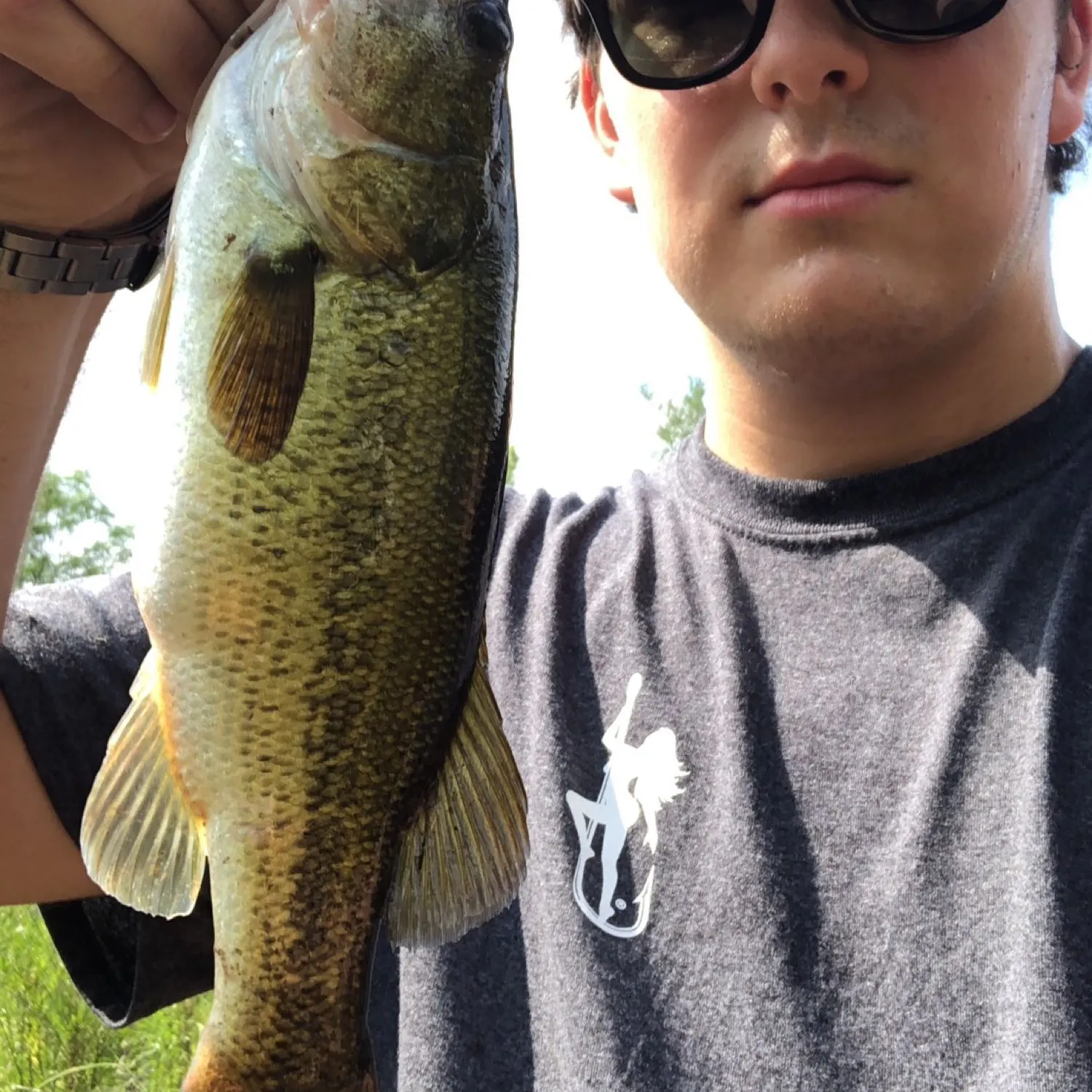 Largemouth bass caught on Fishbrain