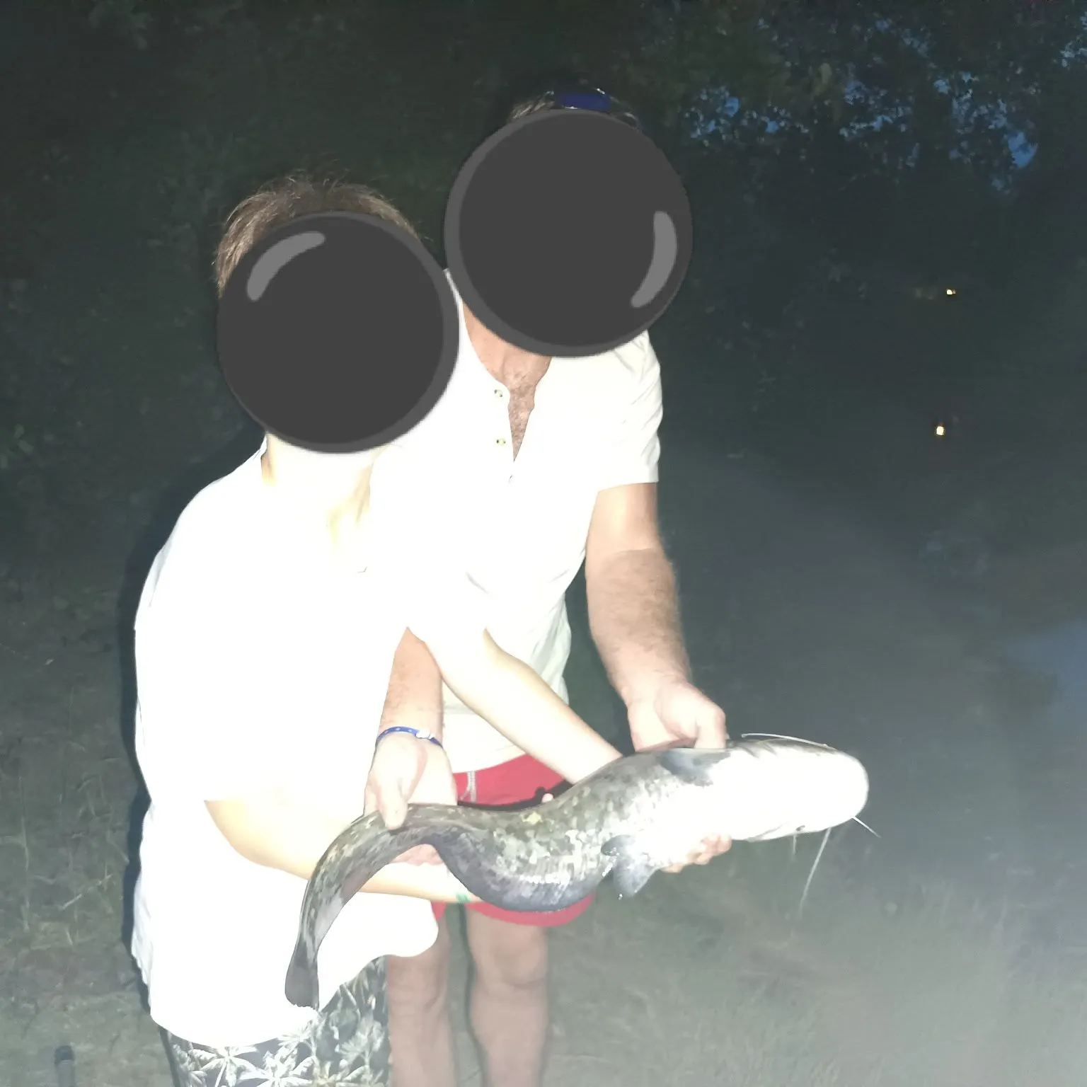 Amur catfish caught on Fishbrain