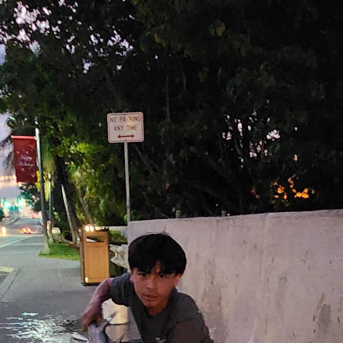 The most recent Smalltooth sawfish catches on Fishbrain