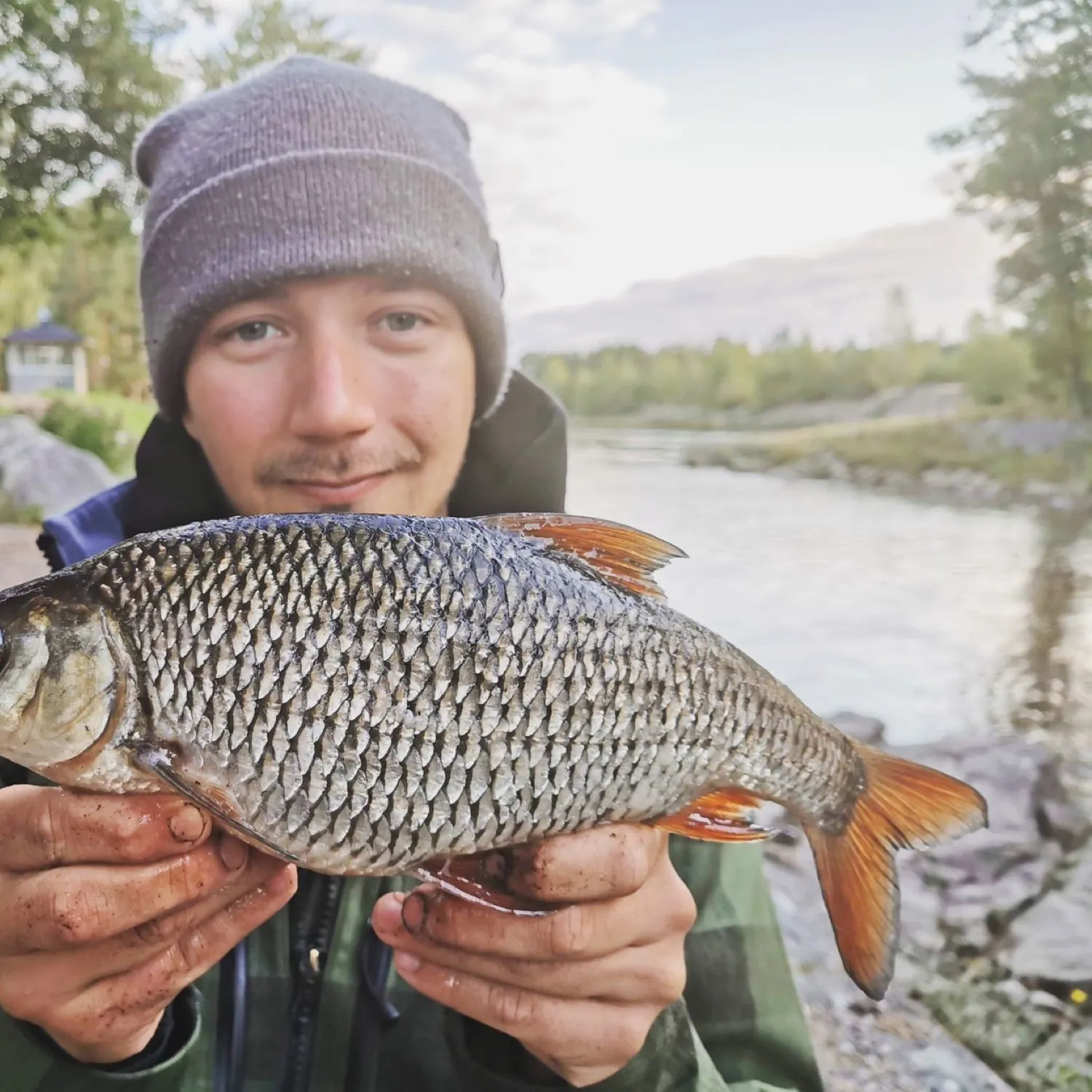 The most popular recent Common roach catch on Fishbrain